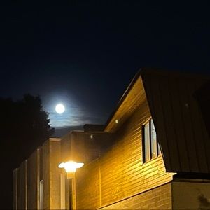 Meet your Posher, Bella